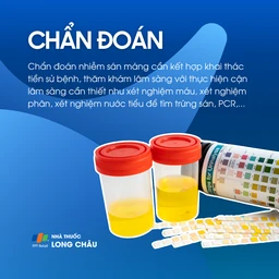 Nhiễm sán máng 5