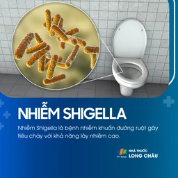 Nhiễm Shigella 1
