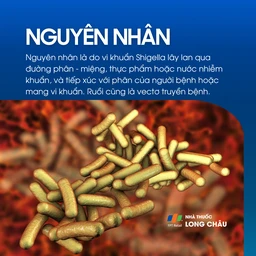 Nhiễm Shigella 3
