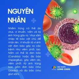 Nhiễm trùng 3