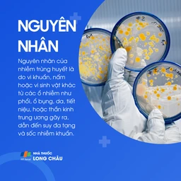Nhiễm trùng huyết 3