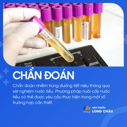 Nhiễm trùng tiết niệu 5