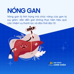 Nóng gan 1