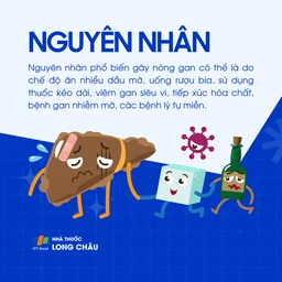Nóng gan 3