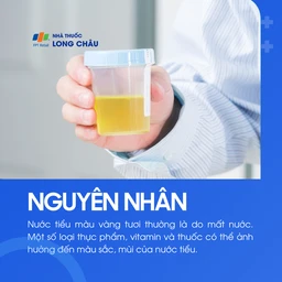 Nước tiểu vàng 3