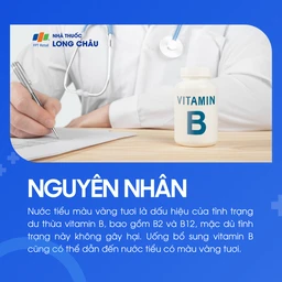 Nước tiểu vàng 3