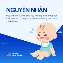 Ống phúc tinh mạc 3