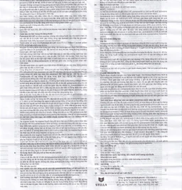 Thuốc Pantostad 40 CAP Stella điều trị viêm thực quản (4 vỉ x 7 viên)