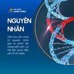 Phình đại tràng bẩm sinh 3