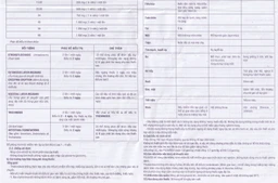 Thuốc Pilavos 500mg Usarichpharm điều trị bệnh giun lươn, ấu trùng giun di chuyển dưới da (7 vỉ x 4 viên)