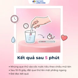 Que thử thai HCG Safefit giúp phát hiện sớm thai kỳ sau 7-10 ngày thụ thai