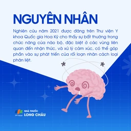 Rối loạn nhân cách phân liệt 3