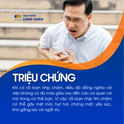 Rối loạn nhịp chậm 2