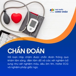 Rối loạn nhịp chậm 5