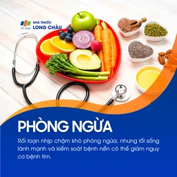 Rối loạn nhịp chậm 6