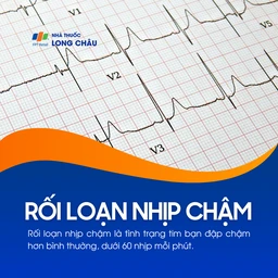 Rối loạn nhịp chậm 1