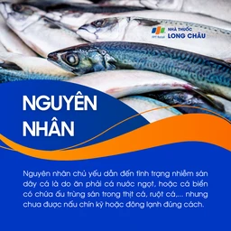 Nhiễm sán dây cá  3