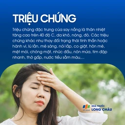 Say nắng là gì? Tình trạng cơ thể bị sốc nhiệt 2
