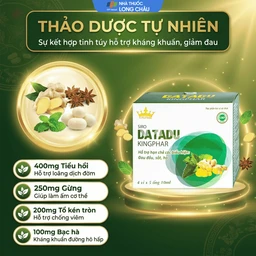 Siro hỗ trợ hạn chế đau đầu sốt ho Datadu Kingphar (4 vỉ x 5 ống x 10ml) 3