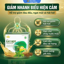 Siro hỗ trợ hạn chế đau đầu sốt ho Datadu Kingphar (4 vỉ x 5 ống x 10ml) 4