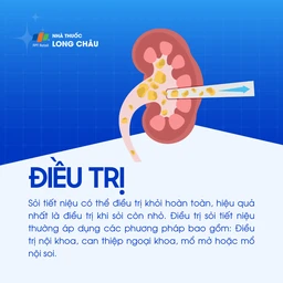 Sỏi niệu 6