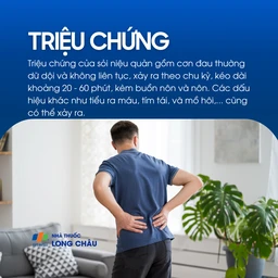 Sỏi niệu quản 2