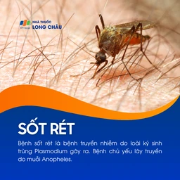 Sốt rét 1