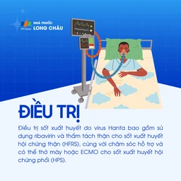 Sốt xuất huyết do virus Hanta 6