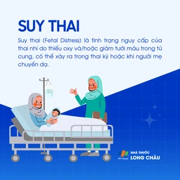 Suy thai 1