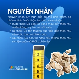 Suy thận cấp 4