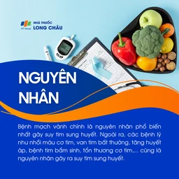 Suy tim sung huyết 3