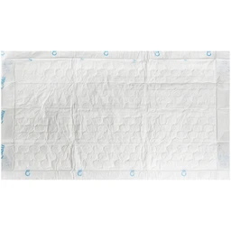 Tấm đệm lót người lớn Caryn siêu thấm size L10 - 42 x 72cm (20 miếng) 5