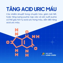 Tăng acid uric máu 1