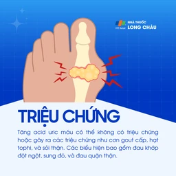 Tăng acid uric máu 2