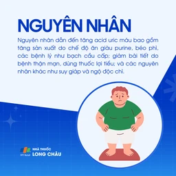 Tăng acid uric máu 3