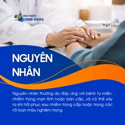 Tăng bạch cầu đơn nhân 3