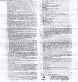 Thuốc Telmisartan Stella 40mg điều trị tăng huyết áp, phòng ngừa tim mạch (3 vỉ x 10 viên) 