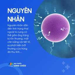 Thai ngoài tử cung 3