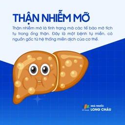 Thận nhiễm mỡ 1