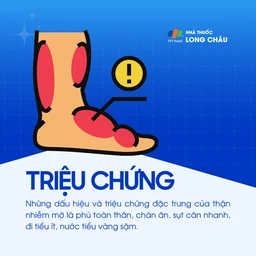 Thận nhiễm mỡ 2