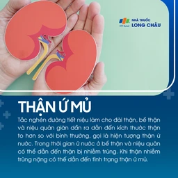 Thận ứ mủ 1