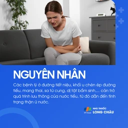 Thận ứ nước 3