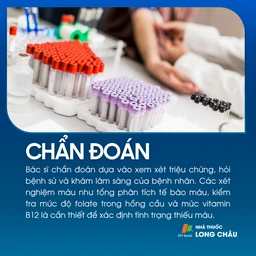 Thiếu máu do thiếu folate 5