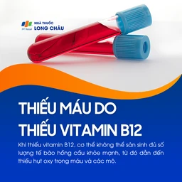 Thiếu máu do thiếu vitamin B12 1