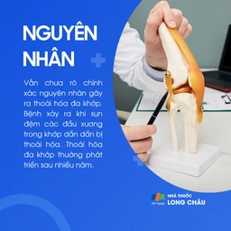 Thoái hóa đa khớp 3