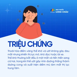 Thoái hóa điểm vàng 2