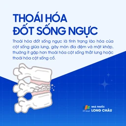Thoái hóa đốt sống ngực 1