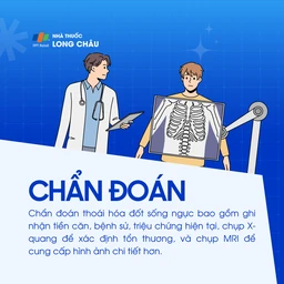Thoái hóa đốt sống ngực 5
