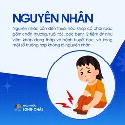 Thoái hóa khớp cổ chân 3