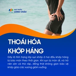 Thoái hóa khớp háng 1